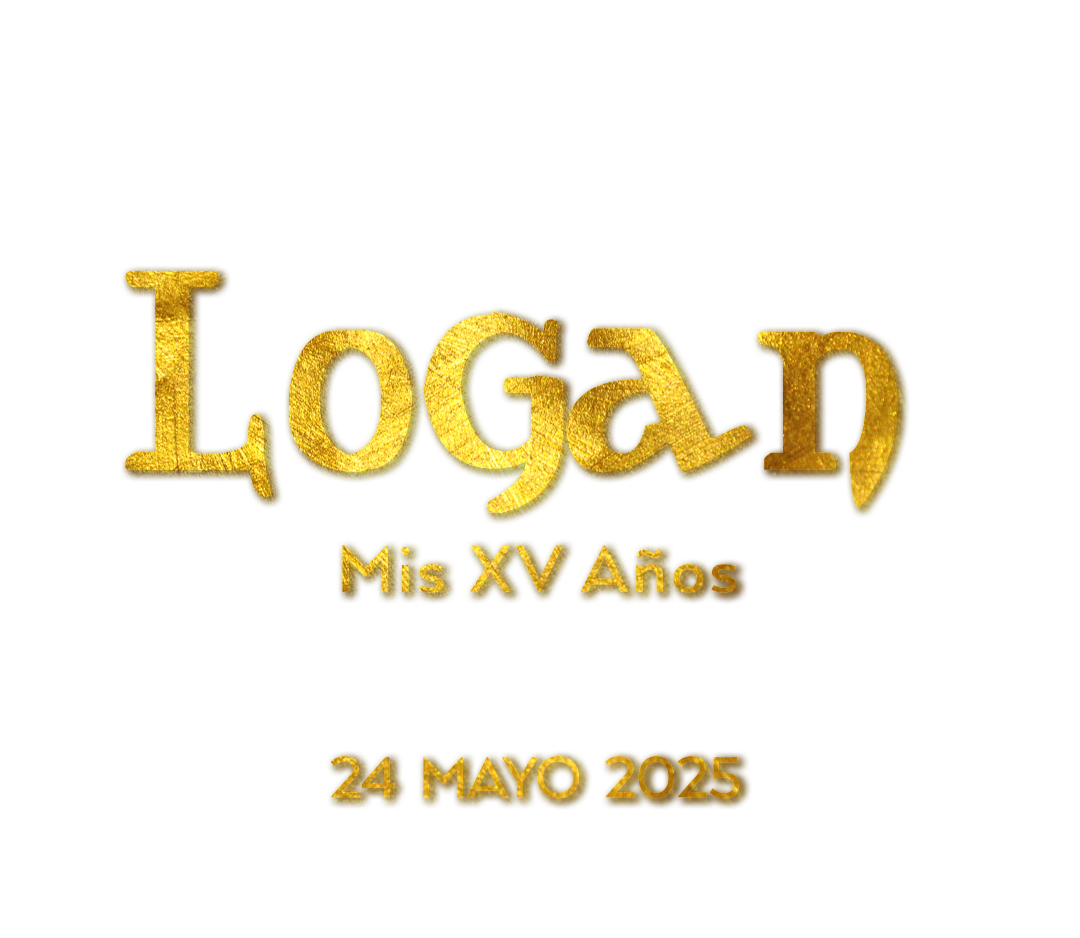 Descripción de la imagen