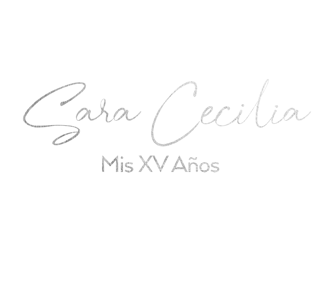 Descripción de la imagen